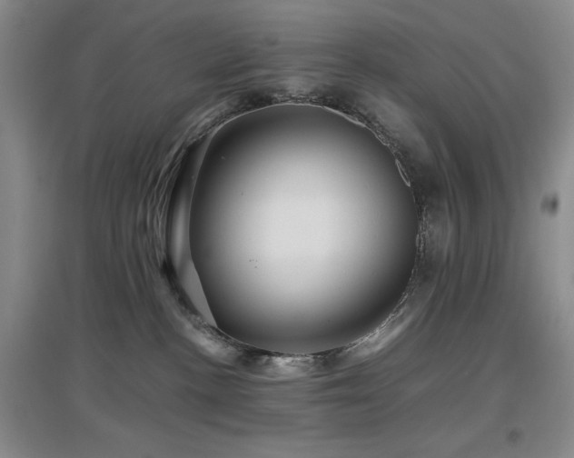 X0000097660188200802291435