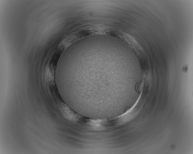 X0000097660190200802291435