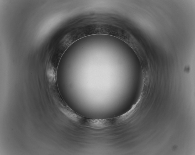 X0000097660191200802291435