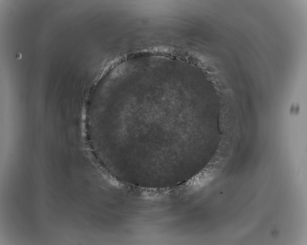 X0000097660192200802291435