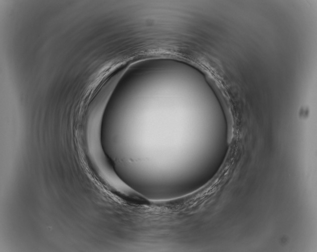 X0000097660193200802291435