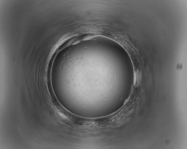 X0000097660195200802291435