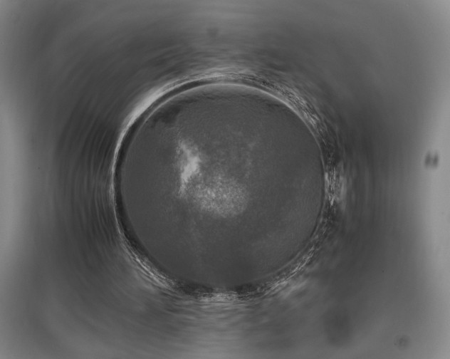 X0000097660196200802291435
