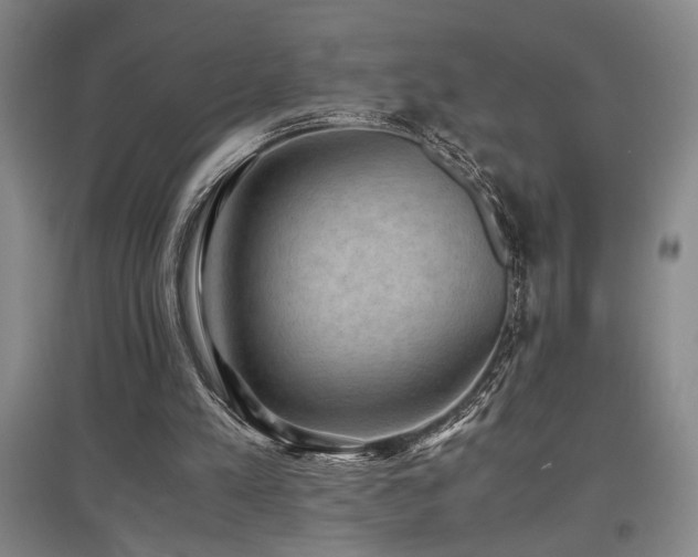 X0000097660197200802291435
