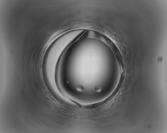 X0000097660199200802291435
