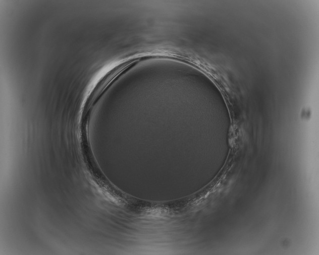 X0000097660200200802291435