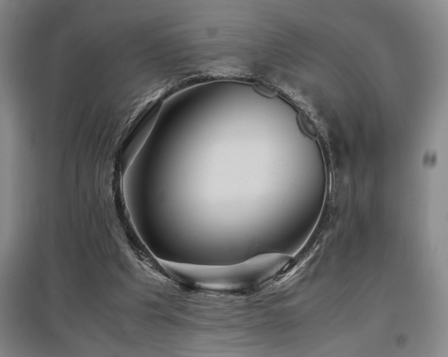 X0000097660201200802291435