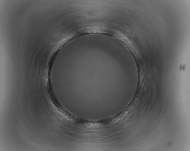 X0000097660202200802291435