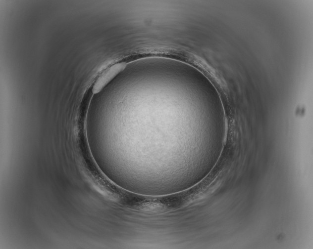 X0000097660203200802291435
