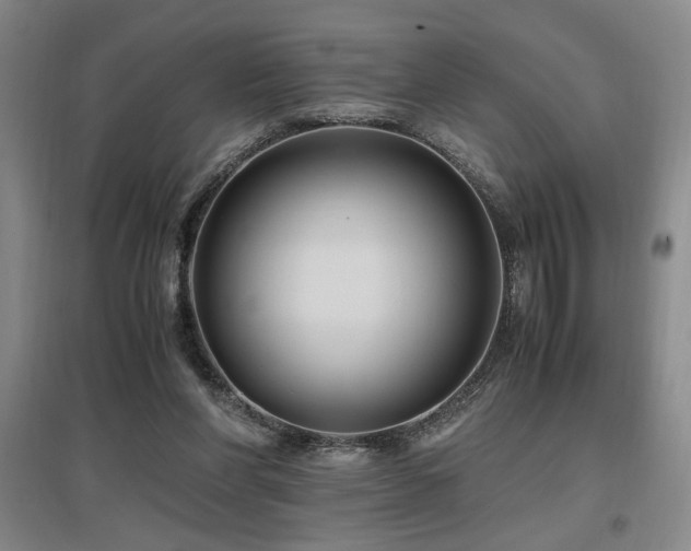X0000097660206200802291435