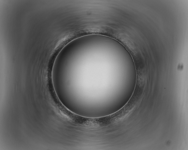X0000097660207200802291435