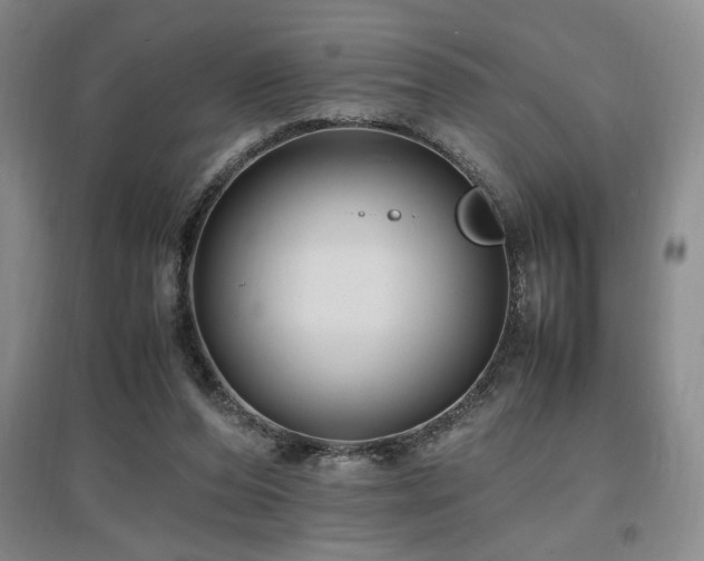 X0000097660208200802291435