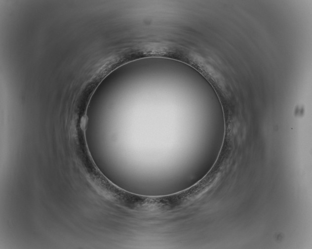 X0000097660209200802291435