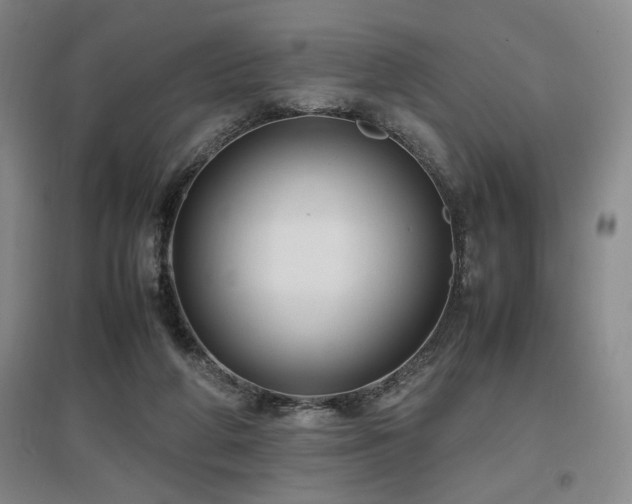 X0000097660210200802291434
