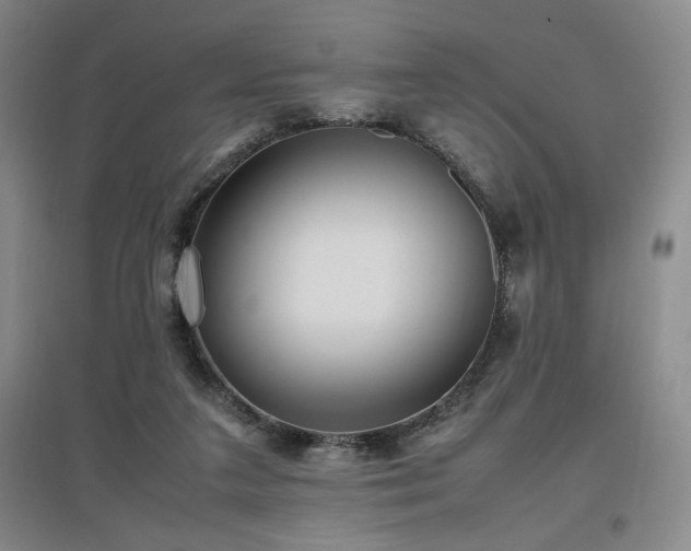 X0000097660211200802291434