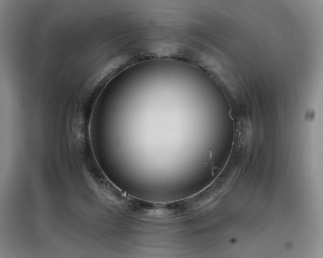 X0000097660212200802291434
