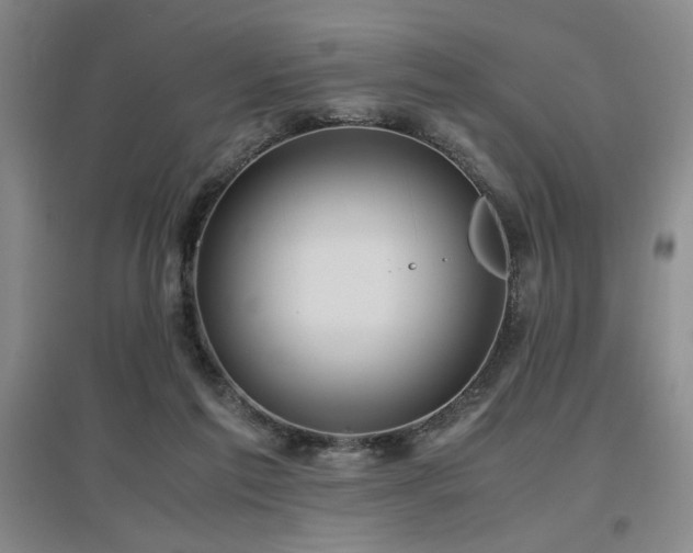 X0000097660213200802291434