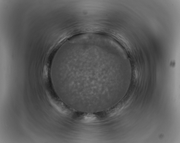 X0000097660214200802291434