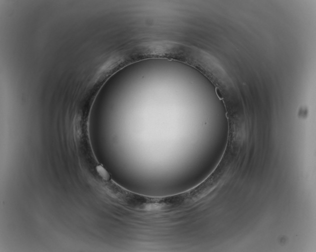X0000097660216200802291434