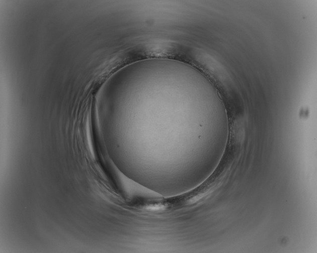 X0000097660217200802291434