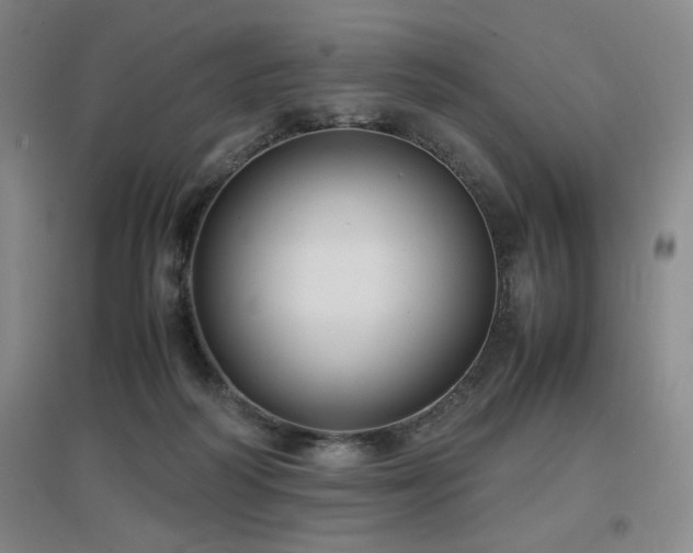 X0000097660218200802291434
