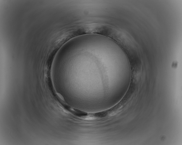 X0000097660219200802291434