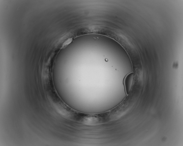 X0000097660220200802291434