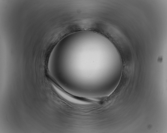 X0000097660221200802291434