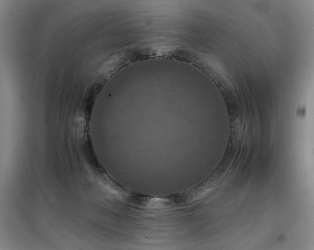 X0000097660222200802291434