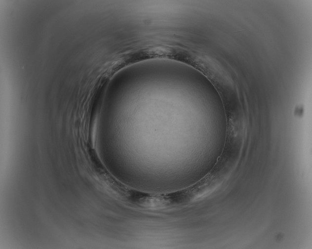 X0000097660223200802291434