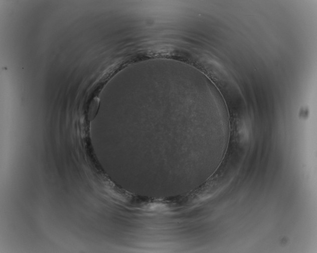 X0000097660224200802291434