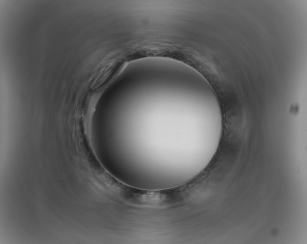 X0000097660225200802291434