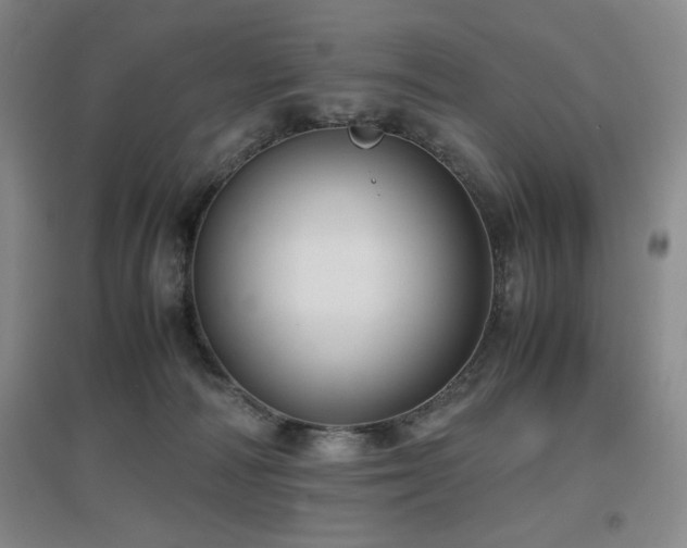 X0000097660226200802291434