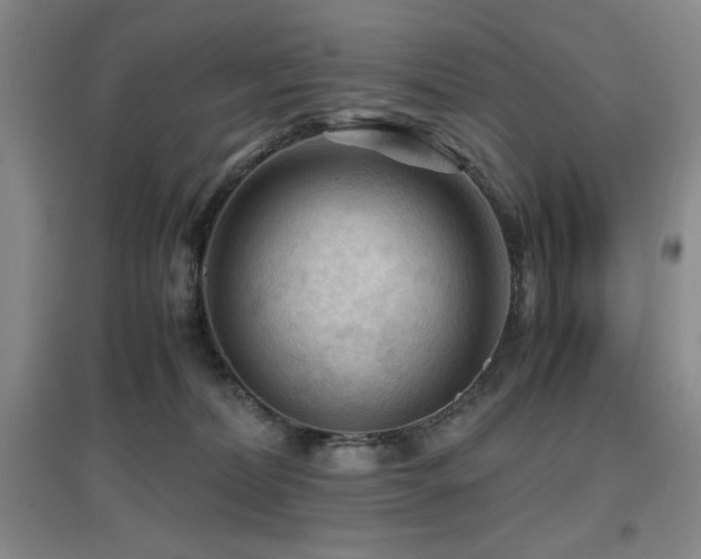 X0000097660228200802291434