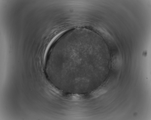 X0000097660229200802291434