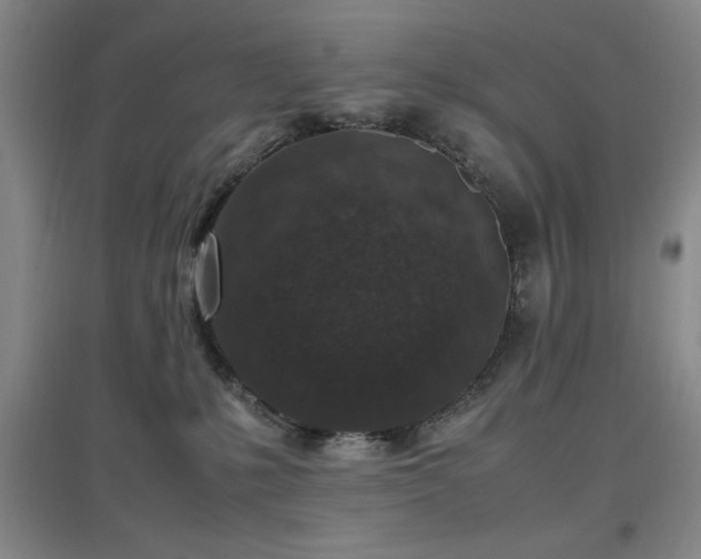 X0000097660231200802291434