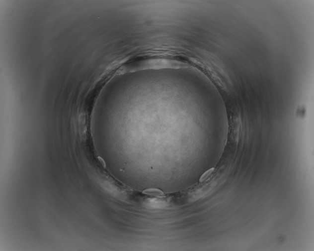 X0000097660232200802291434