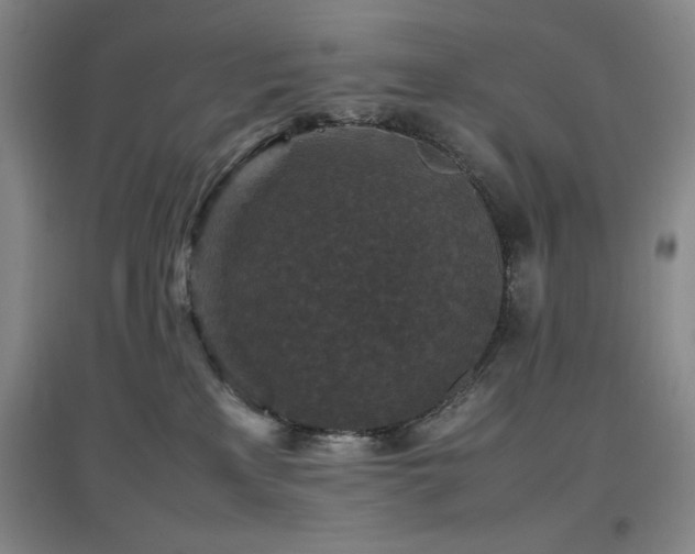 X0000097660233200802291434