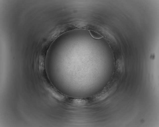 X0000097660234200802291434