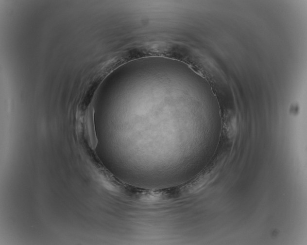X0000097660235200802291434
