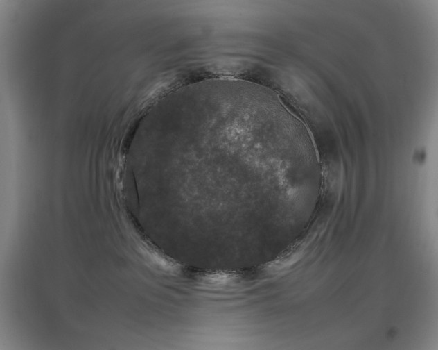 X0000097660237200802291434