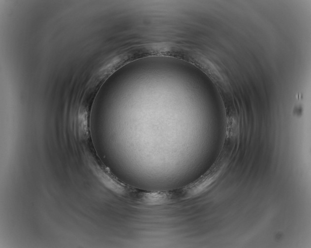 X0000097660238200802291434