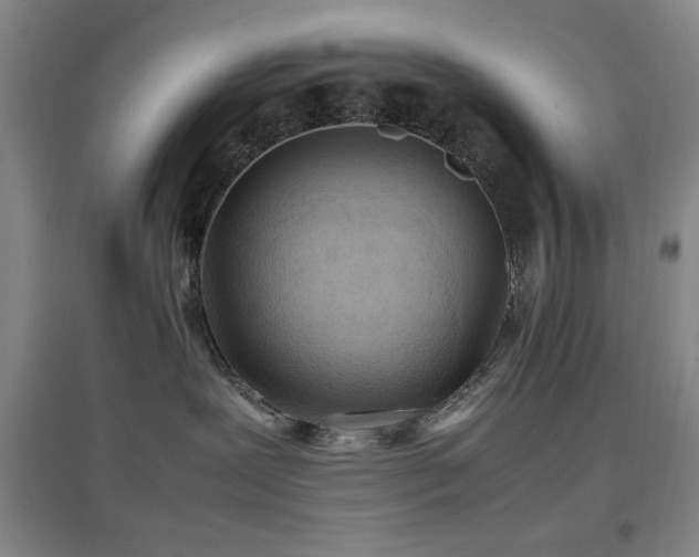 X0000097660239200802291434