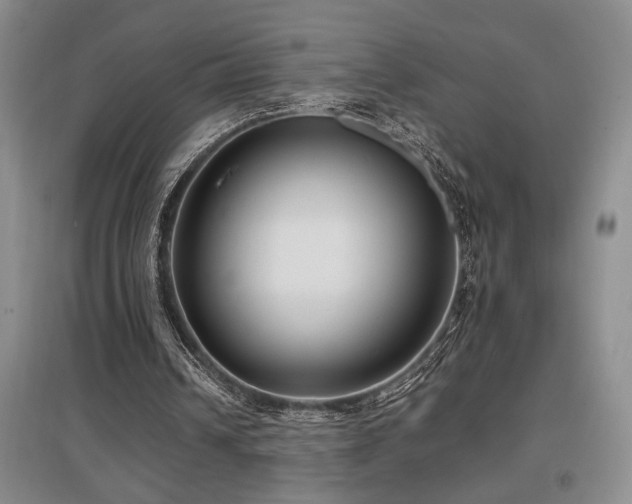 X0000097660242200802291433