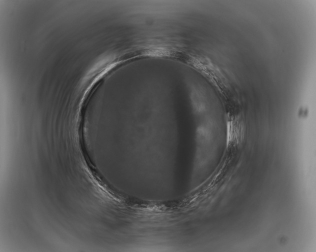 X0000097660243200802291433