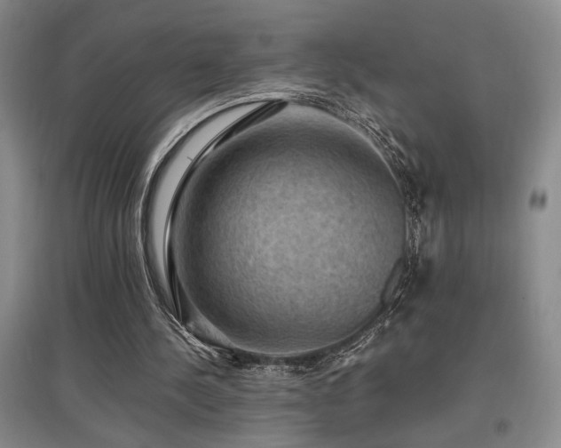 X0000097660244200802291433