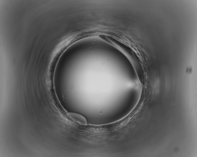 X0000097660245200802291433
