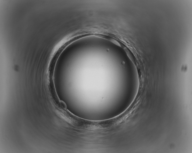 X0000097660246200802291433