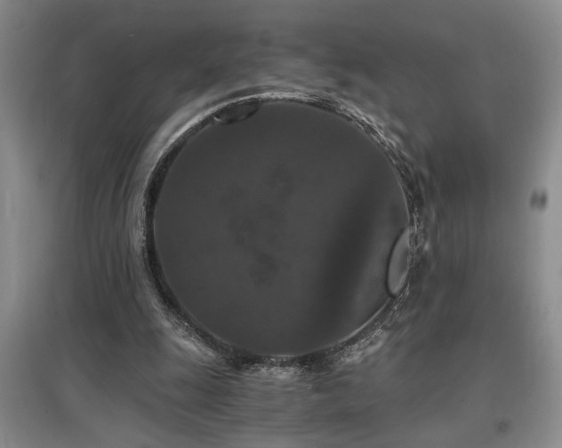 X0000097660247200802291433
