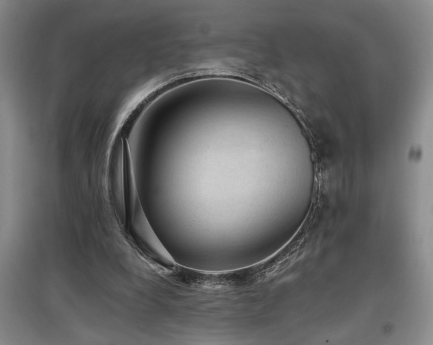 X0000097660248200802291433